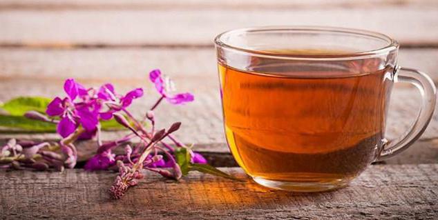 receptury Ivan lecznicze właściwości herbaty