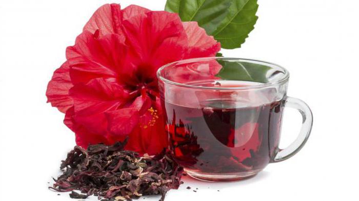 właściwości herbaty hibiskus