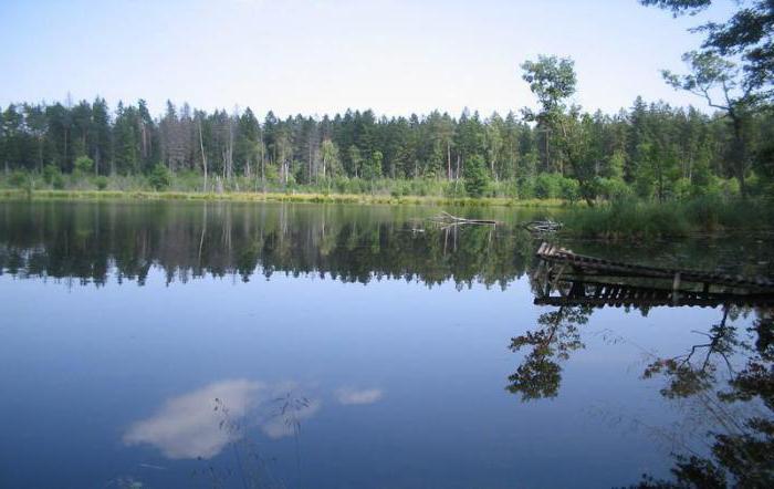 Fotografija nacionalnog parka Narochansky