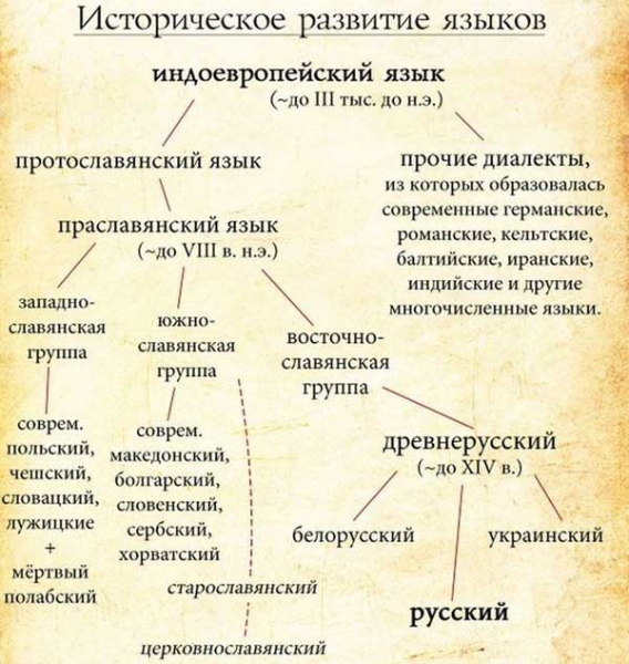 Фазе развоја руског језика