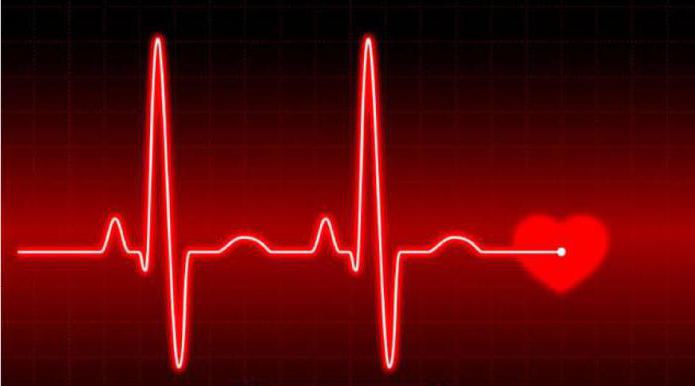 Holter EKG nadzor