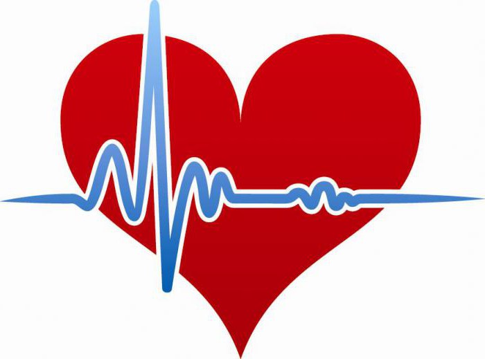 Holterový EKG monitorování denně