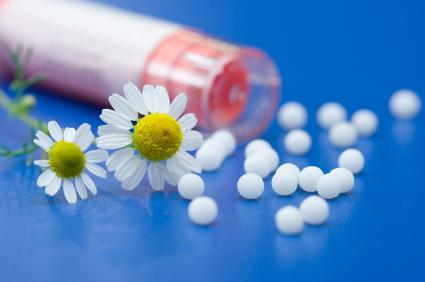 bryonia homeopatija