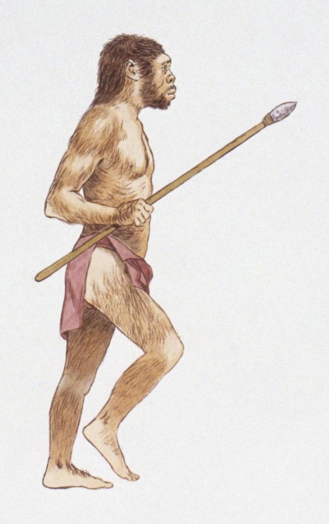 Homo erectus s kopjem