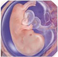 Homocysteina podczas ciąży