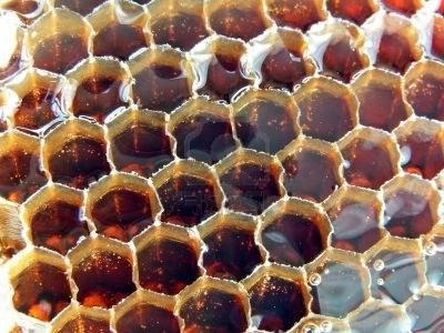 полезните свойства на мед от елда