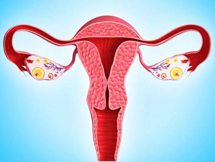 хормон естрадиола је нормалан код жена у менопаузи