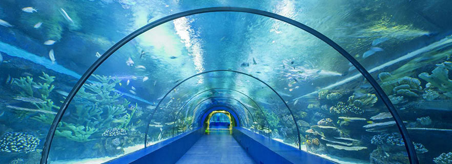 Akvarij v Antaliji