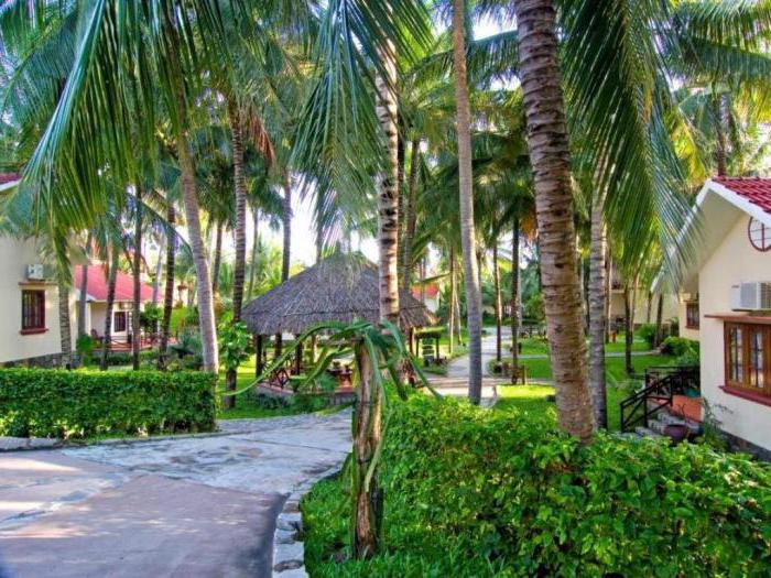Ocean Star Resort 4 opinie Wietnamu