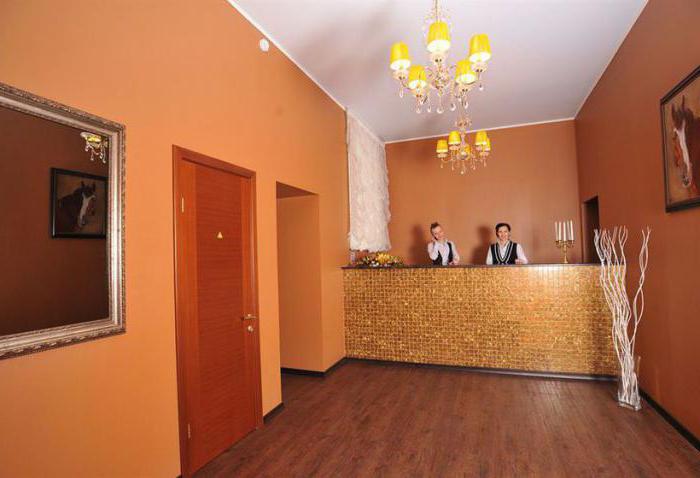 Hotel economico a Khimki