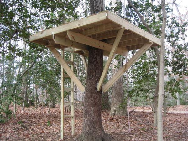 jak zrobić domek na drzewie