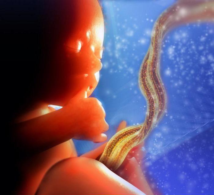 kako dojenček diha v maternici