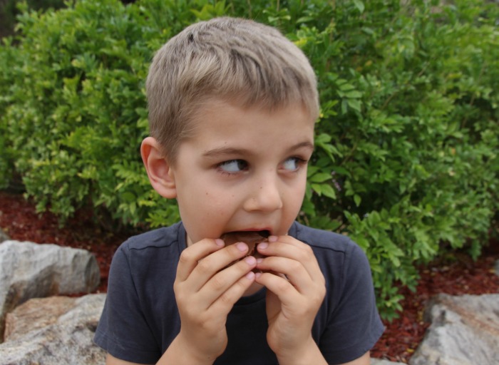 dzieci mają alergię na czekoladę