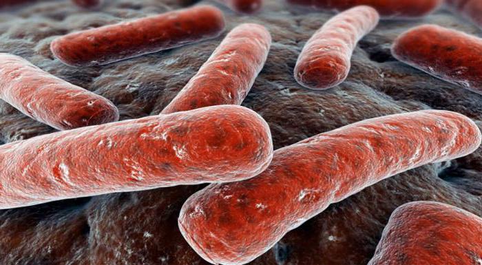 simptomi tuberkuloze prvi znakovi