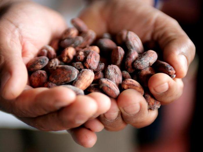 come è utile la polvere di cacao