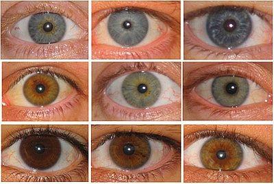 lidé s modrými očima