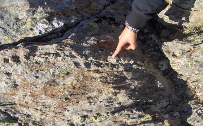 как минералите се различават от скалите