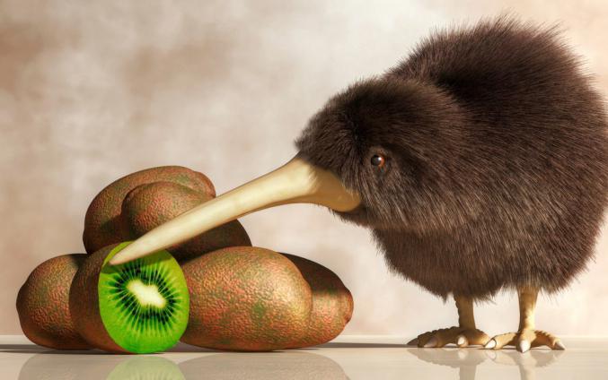 come fa il kiwi a crescere in natura