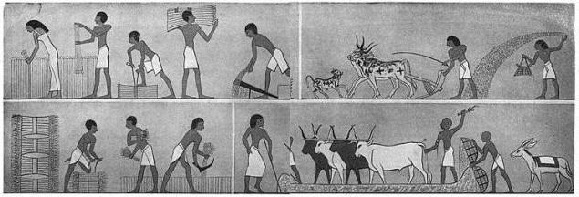 как земеделци и занаятчии са живели в Египет