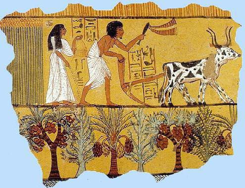 jako den farmáře prošel ve starověkém Egyptě