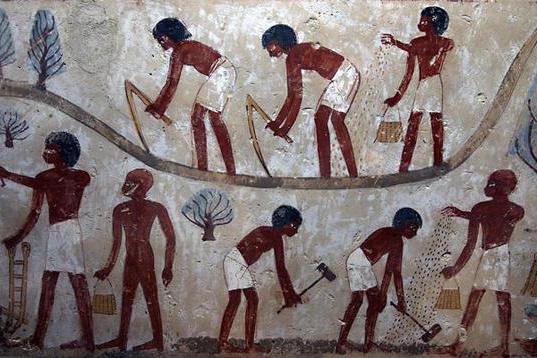Какво направиха фермерите в древен Египет