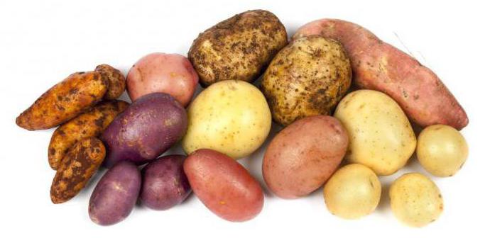 kontraindikace bramborového džusu
