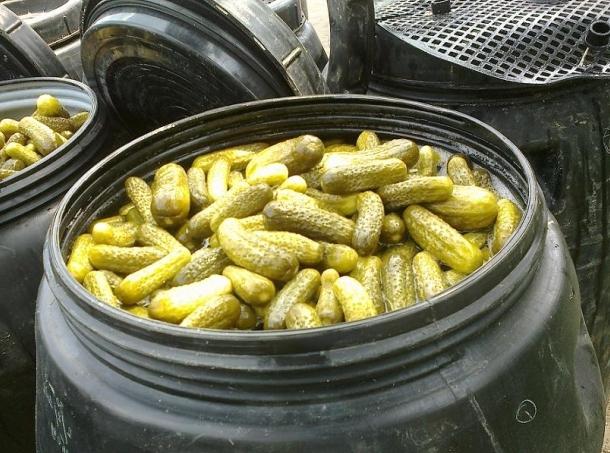 kumarice za dekapiranje za zimo