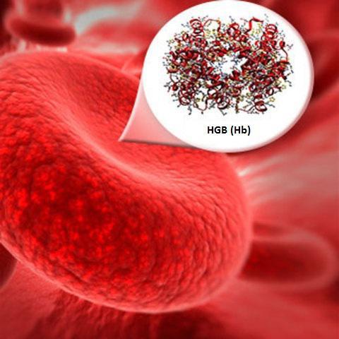 kako je hemoglobin određen u analizama