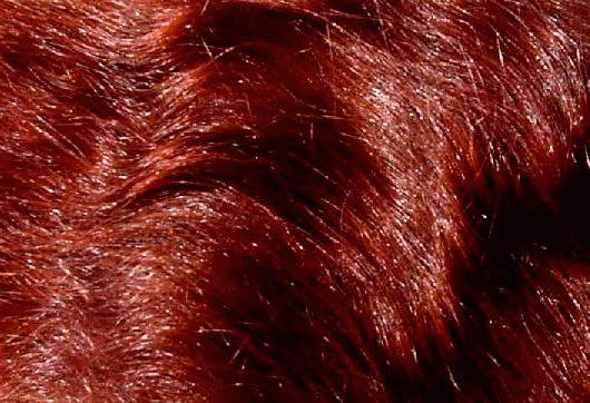 Henna za senčila za lase