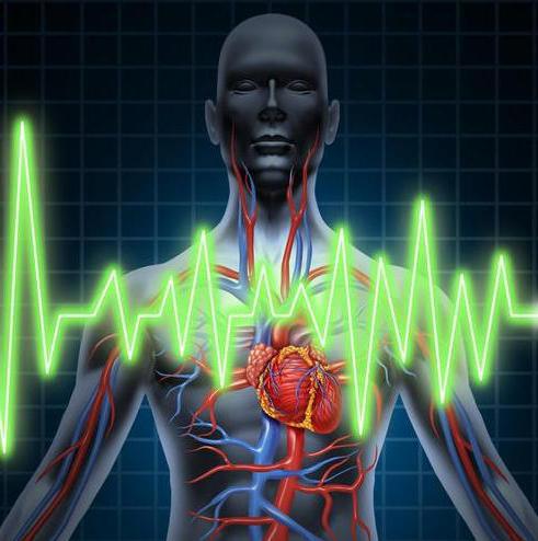 Codzienne monitorowanie serca w trakcie jego wykonywania
