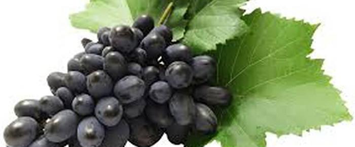 колко калории в гроздето са черни