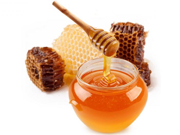 koliko kalorij v medu