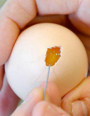 използвайте сурови яйца на празен стомах