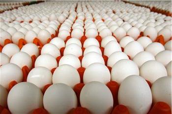 Quante uova puoi mangiare al giorno?