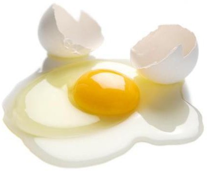 kolik bílkovin je ve vejci