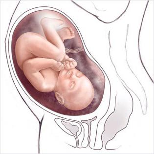 quanti giorni prima della nascita il ventre affonda