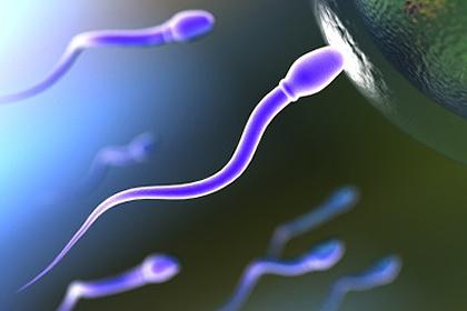 quanto sperma vive in aria