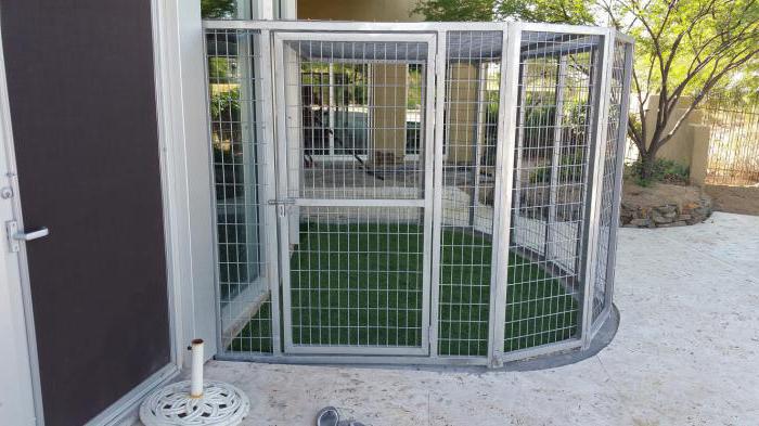 kako zgraditi preprost ograjen prostor za pse
