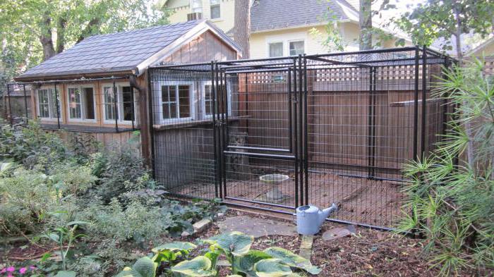 costruisci un recinto per cani da solo