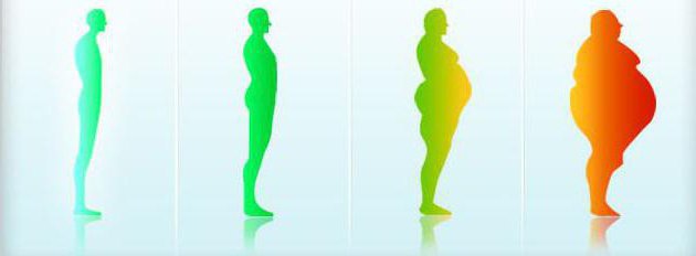 indice di massa corporea per le donne
