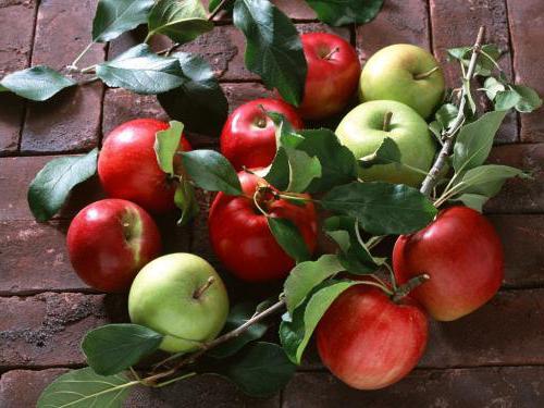pielęgnacja jabłka latem