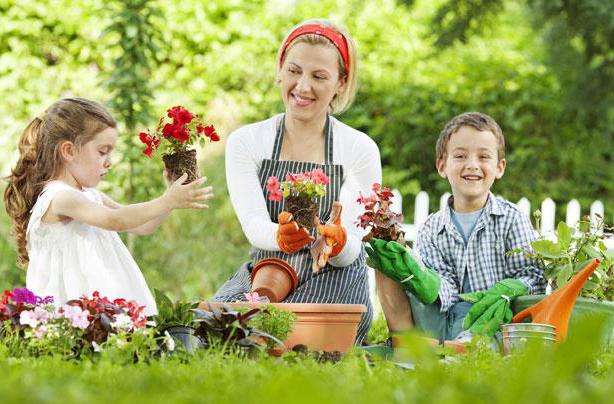 как да се грижим за стайни растения за деца
