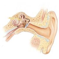 народни средства за лечение на ухо