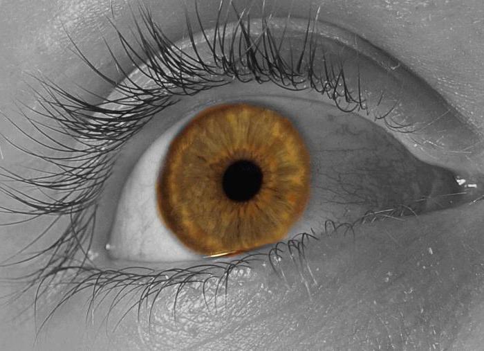Jak změnit barvu hnědého oka