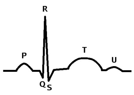 zapis EKG serca