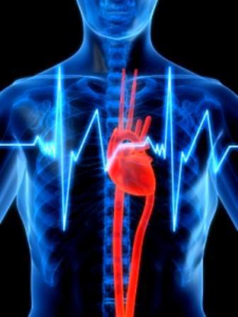ECG сърдечен ритъм