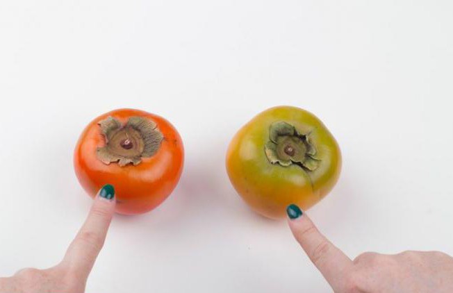 jak si vybrat rajčata, která není plést