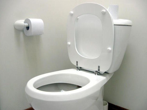 како изабрати добар тоалет