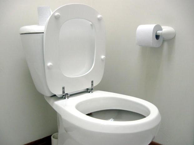 Како изабрати тоалет