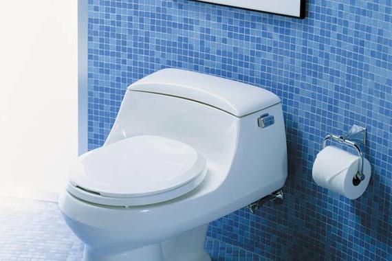 Как да изберем тоалетна самостоятелно